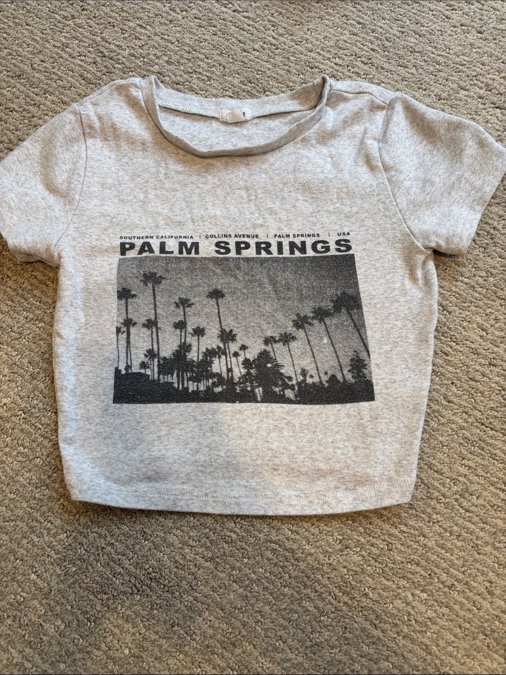 Garage Heather Gray Palm Springs Graphic Crop Top